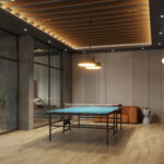 Krishnas Arena Games room - TT